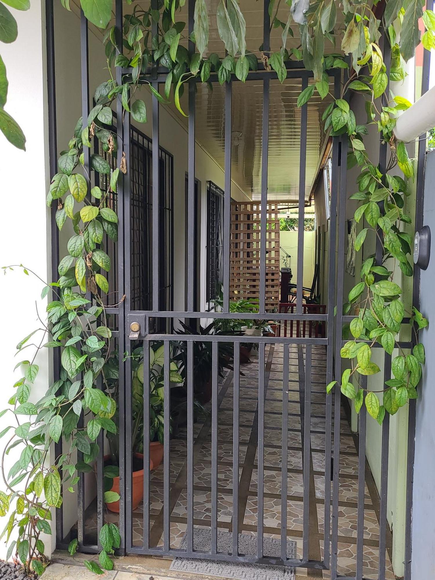 Butterfly Apartments La Fortuna Extérieur photo
