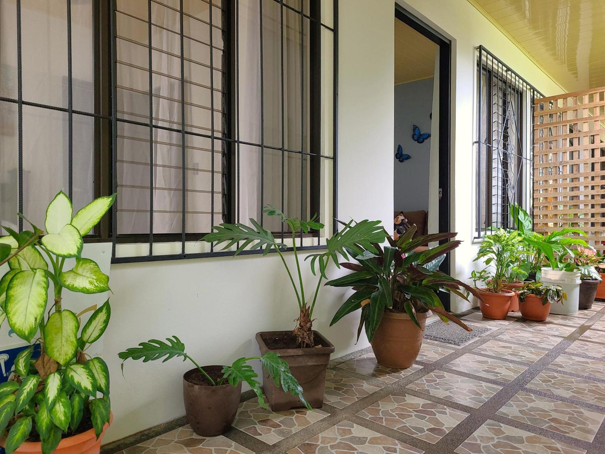 Butterfly Apartments La Fortuna Extérieur photo