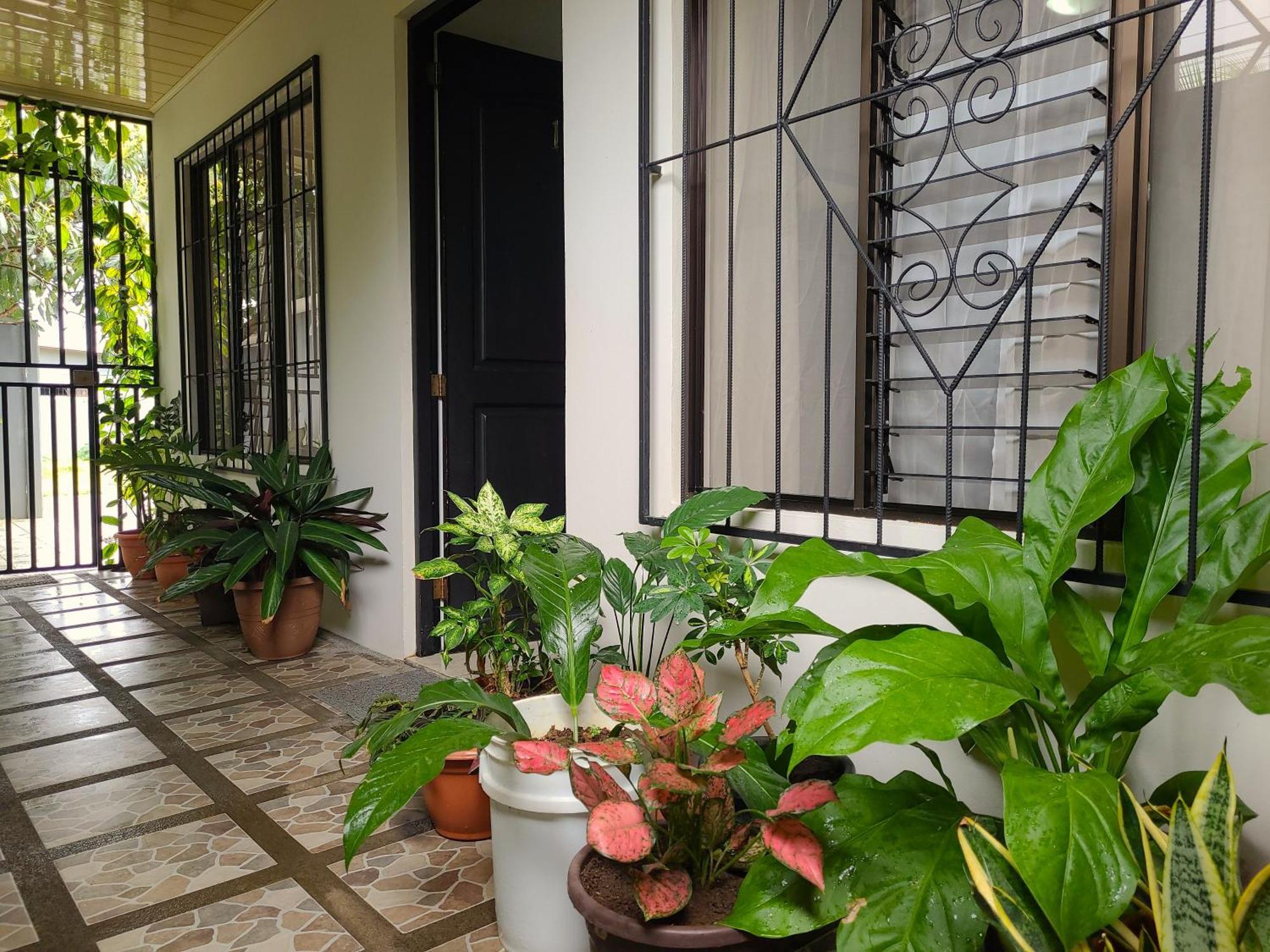 Butterfly Apartments La Fortuna Extérieur photo